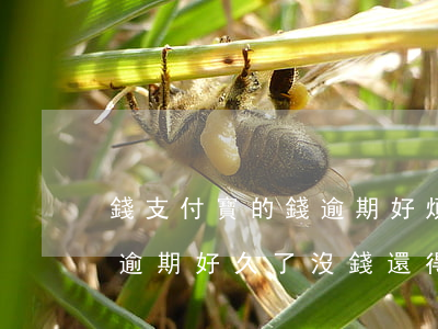 錢支付寶的錢逾期好煩又借不到錢-支付寶逾期好久了,沒錢還得上怎么辦