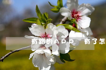 錢有路的APP沒有了怎么還款-