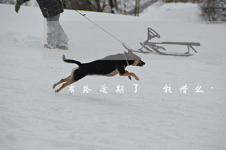 錢有路逾期了還能借么-錢有路借款可靠嗎
