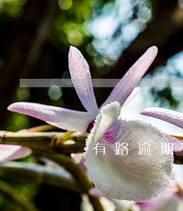 錢有路逾期會不會轟炸