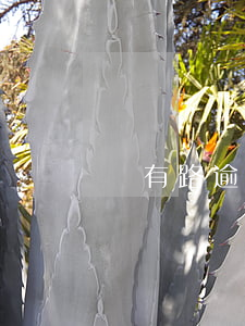 錢有路逾期還款一天(錢有路逾期還款一天)