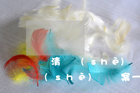 錢滿清開設(shè)賭場案一審(錢滿清開設(shè)賭場案一審)
