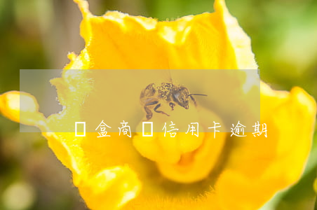 錢盒商戶信用卡逾期