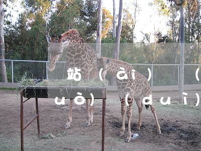 錢站愛(ài)錢進(jìn)能通過(guò)對(duì)公賬戶還款嗎-錢站愛(ài)錢進(jìn)怎么對(duì)公還款