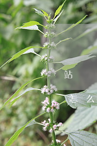 錢站愛錢進對公還款要幾天銷賬-錢站愛錢進怎么對公還款