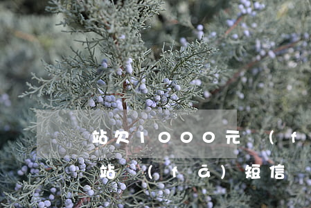錢站欠1000元發(fā)信息說要上門(錢站發(fā)短信說要上門)
