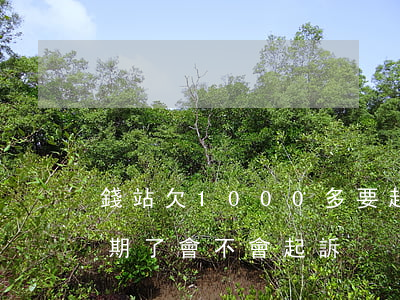錢站欠1000多要起訴我(錢站2000逾期了會不會起訴)