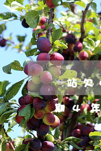 錢站欠4000多逾期100多天-錢站逾期4年不還