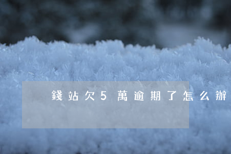 錢站欠5萬逾期了怎么辦(錢站逾期怎么還)