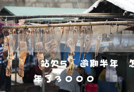 錢站欠5萬逾期半年會怎么樣(錢站逾期了兩年了3000)