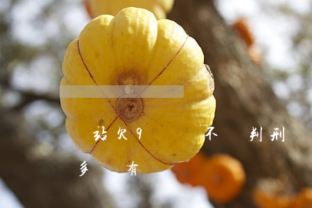 錢站欠9萬會不會判刑(錢站欠3000一年多沒有還)