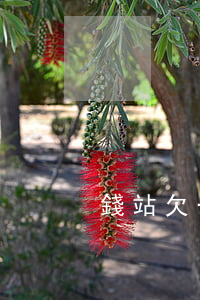 錢站欠一千塊(錢站借了1500一年沒還)