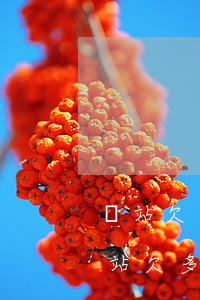 錢站欠一千多會被凍結(jié)賬戶嗎(錢站欠多少錢會被凍結(jié)銀行卡)
