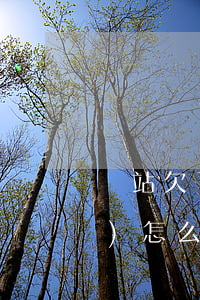 錢站欠了十多萬(wàn)不還會(huì)怎么樣(錢站欠的錢還要還嗎)
