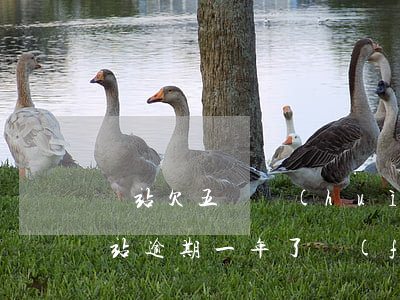 錢站欠五萬會(huì)上門嗎 逾期多久(錢站逾期一年了發(fā)信息說上門)