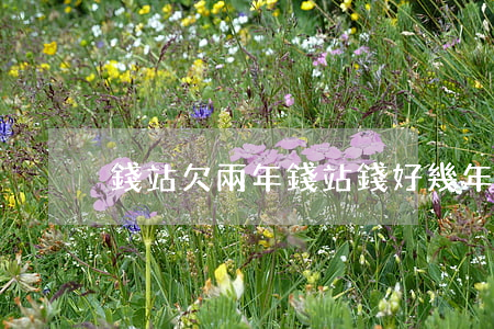 錢站欠兩年(錢站錢好幾年沒還了)