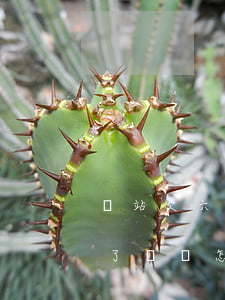 錢站欠六萬不還有事嗎(錢站欠了7萬一年半了沒還,怎么沒人催收了)