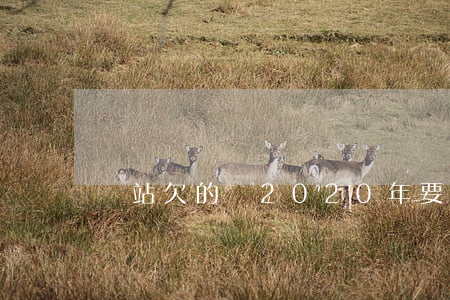錢站欠的錢2020年要不要還-