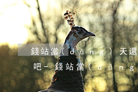 錢站當(dāng)天還款不會有不好記錄吧-錢站當(dāng)天還款最遲幾點