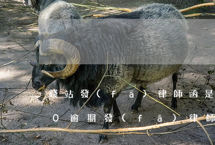 錢站發(fā)律師函是真的嗎（錢站1000逾期發(fā)律師函）