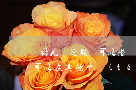 錢站花唄逾期還可以借嗎(花唄逾期還完了還可以在其他平臺(tái)借錢嗎)