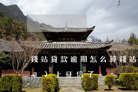 錢站貸款逾期怎么算(錢站逾期已經(jīng)上征信了)