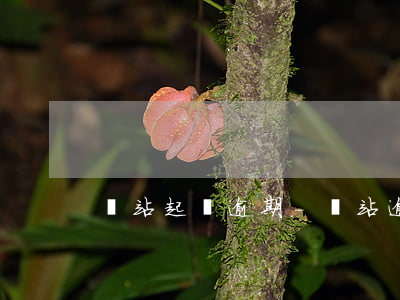 錢站起訴逾期-錢站 逾期