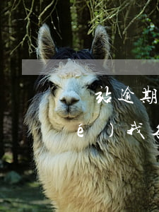 錢站逾期不還(錢站逾期不還說要凍結(jié)我各種賬戶,和納入失信人)
