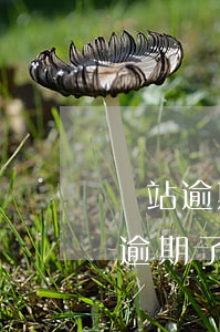 錢站逾期信用卡有關(guān)系嗎(錢站逾期了會(huì)不會(huì)起訴)