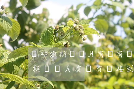 錢站逾期兩個月有沒有沒接到電話-錢站逾期兩個月有沒有沒接到電話的