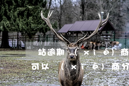 錢站逾期協(xié)商拖延還款(錢站逾期可以協(xié)商分期)