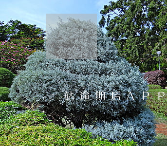 錢站逾期后APP啥也看不見了-