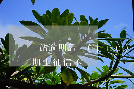 錢站逾期后結(jié)清征信沒了（錢站逾期上征信不）