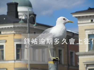 錢站逾期多久會上征信