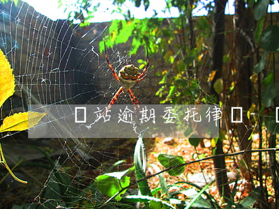 錢站逾期委托律師-錢站 逾期