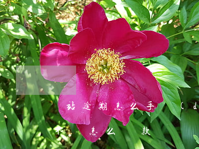 錢站逾期怎么手動(dòng)還款(錢站打不開怎么還款)