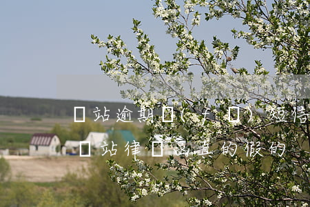 錢站逾期發(fā)短信律師函是真的嗎-錢站律師函真的假的