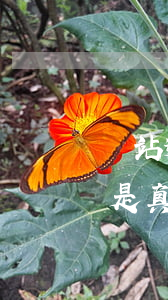 錢站逾期發(fā)短信發(fā)律師函是真的嗎-錢站逾期發(fā)短信發(fā)律師函是真的嗎嗎