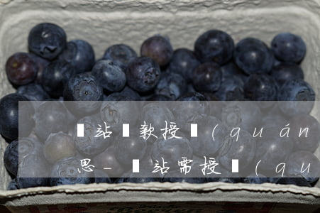 錢站還款授權(quán)20萬是什么意思-錢站需授權(quán)電話服務(wù)密碼嗎