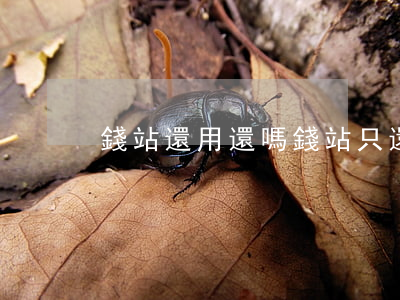 錢站還用還嗎（錢站只還本金么）