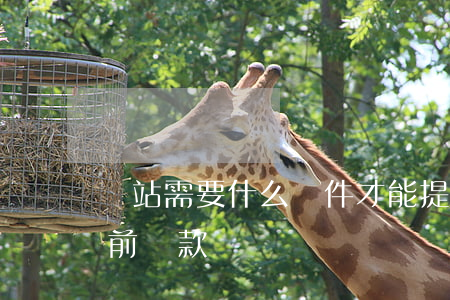 錢站需要什么條件才能提前還款-錢站能提前還款嗎