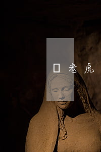 錢老虎逾期(錢老虎逾期催收)
