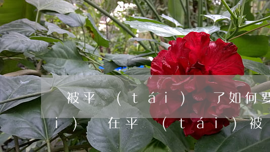 錢被平臺(tái)騙了如何要回來(lái)，錢在平臺(tái)被騙了怎么要回來(lái)