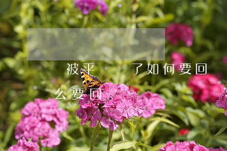 錢被平臺騙了如何要回來,錢在平臺被騙了怎么要回來 錢被平臺騙了如何要回來,錢在平臺被騙了怎么要回來