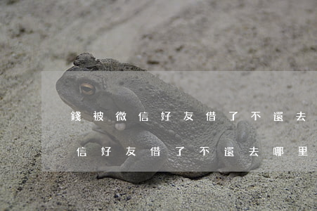 錢被微信好友借了不還去哪里起訴-錢被微信好友借了不還去哪里起訴呢