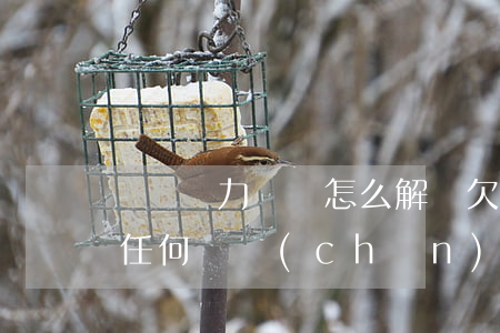 錢財無力償還怎么解決(欠錢無力償還也沒有任何資產(chǎn))