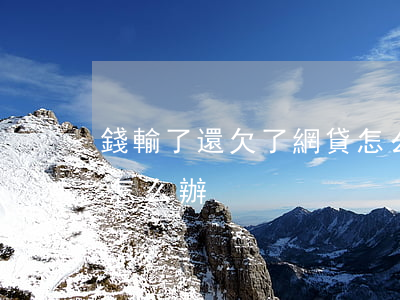 錢輸了還欠了網貸怎么辦(錢輸了還欠了網貸怎么辦)