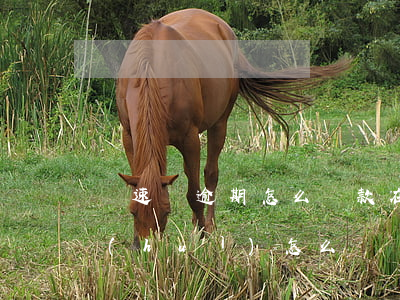 錢速貸逾期怎么還款(在快貸借錢逾期2年會(huì)怎么樣)