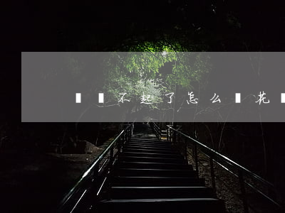 錢還不起了怎么辦(花唄錢還不起了怎么辦)