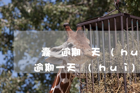 錦囊貸逾期幾天會(huì)起訴-錦囊貸逾期一天會(huì)怎樣